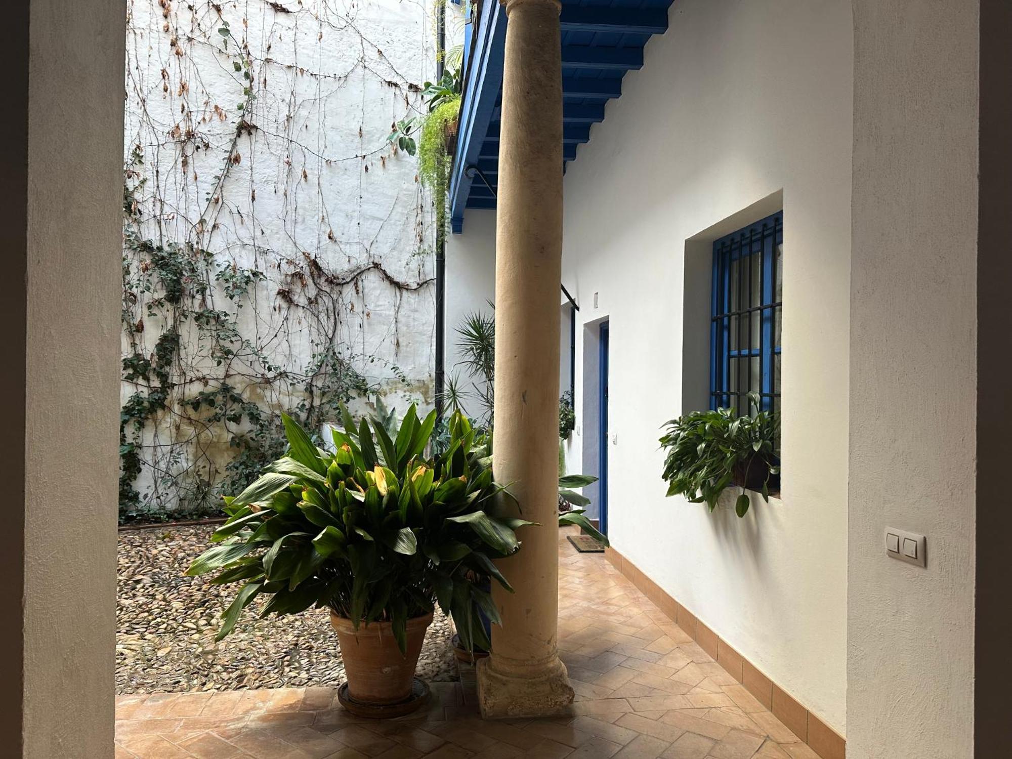 Vidrio 30-32 Apartment Sevilla Exterior foto